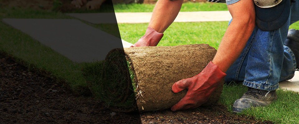 Niagara Landscapers